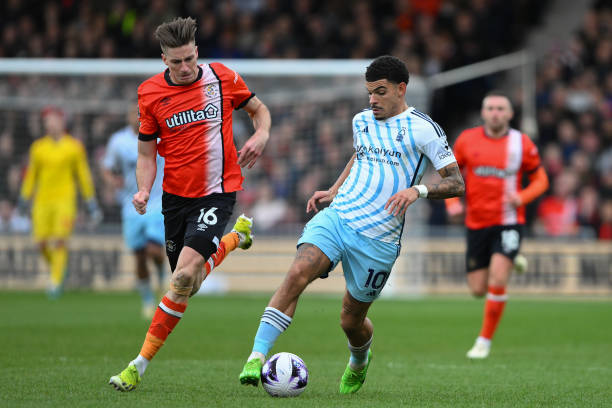 蠢蠢欲动 蠢蠢欲动